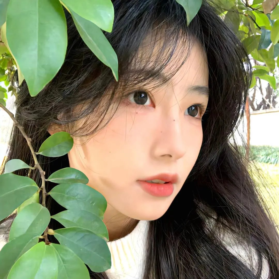 理查德的东西